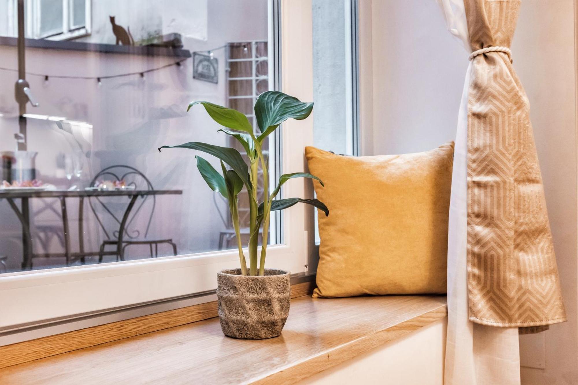Casa Saba Luxury With Terrace * Trieste